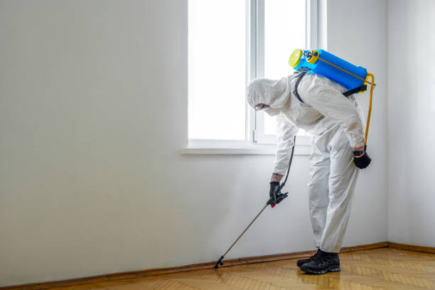 Best Pest Exclusion Services  in Sewell, NJ